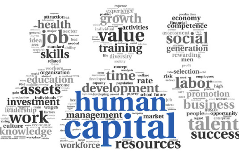 Human capital concept in tag cloud on white background